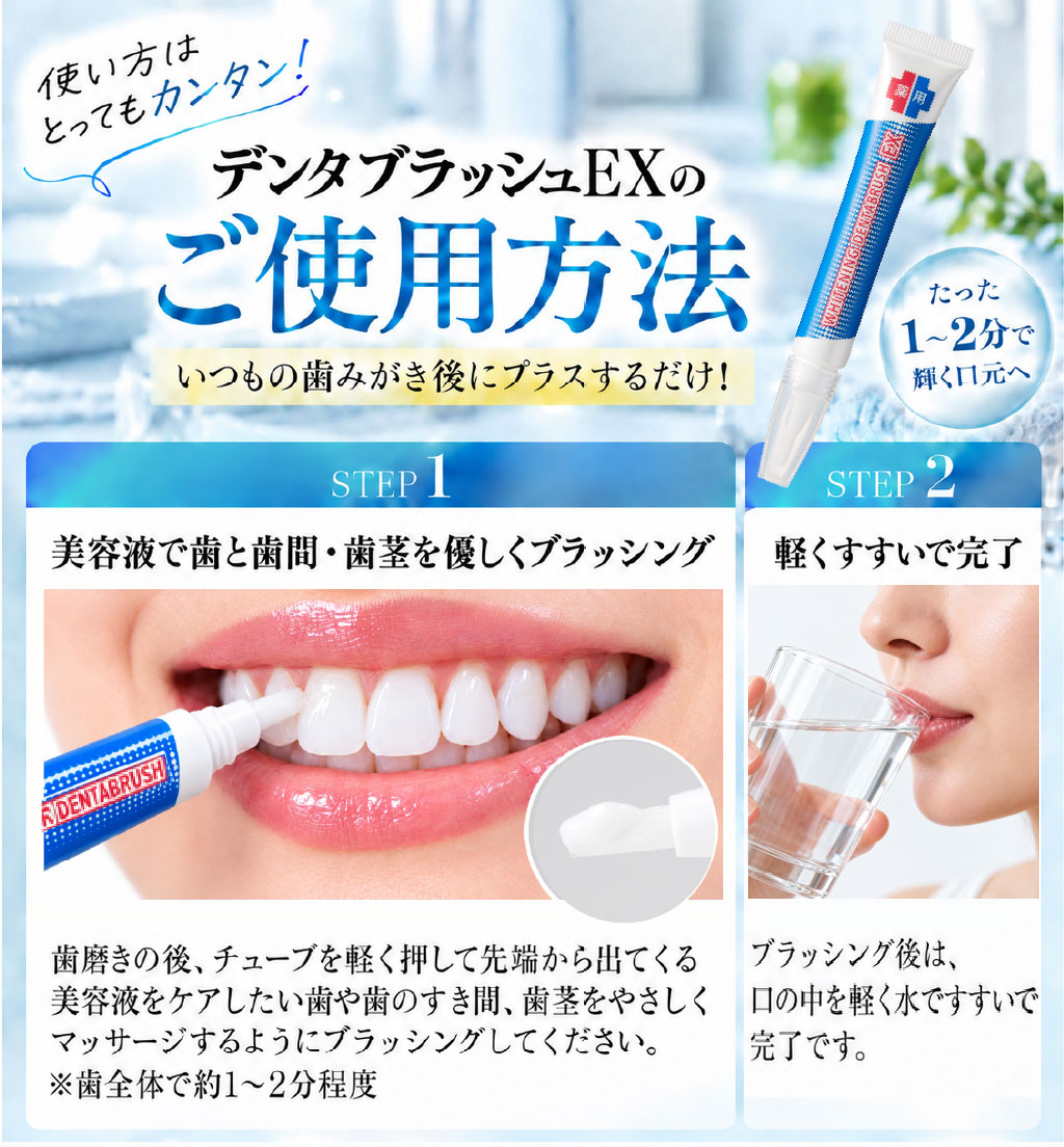 薬用ホワイトニング デンタブラッシュ EX使用方法