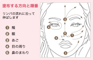 塗布する方向と順番 リンパの流れに沿って伸ばします 1.頬 2.額 3.あご 4.目の周り 5.鼻のまわり