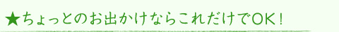 ★ちょっとのお出かけならこれだけでOK!